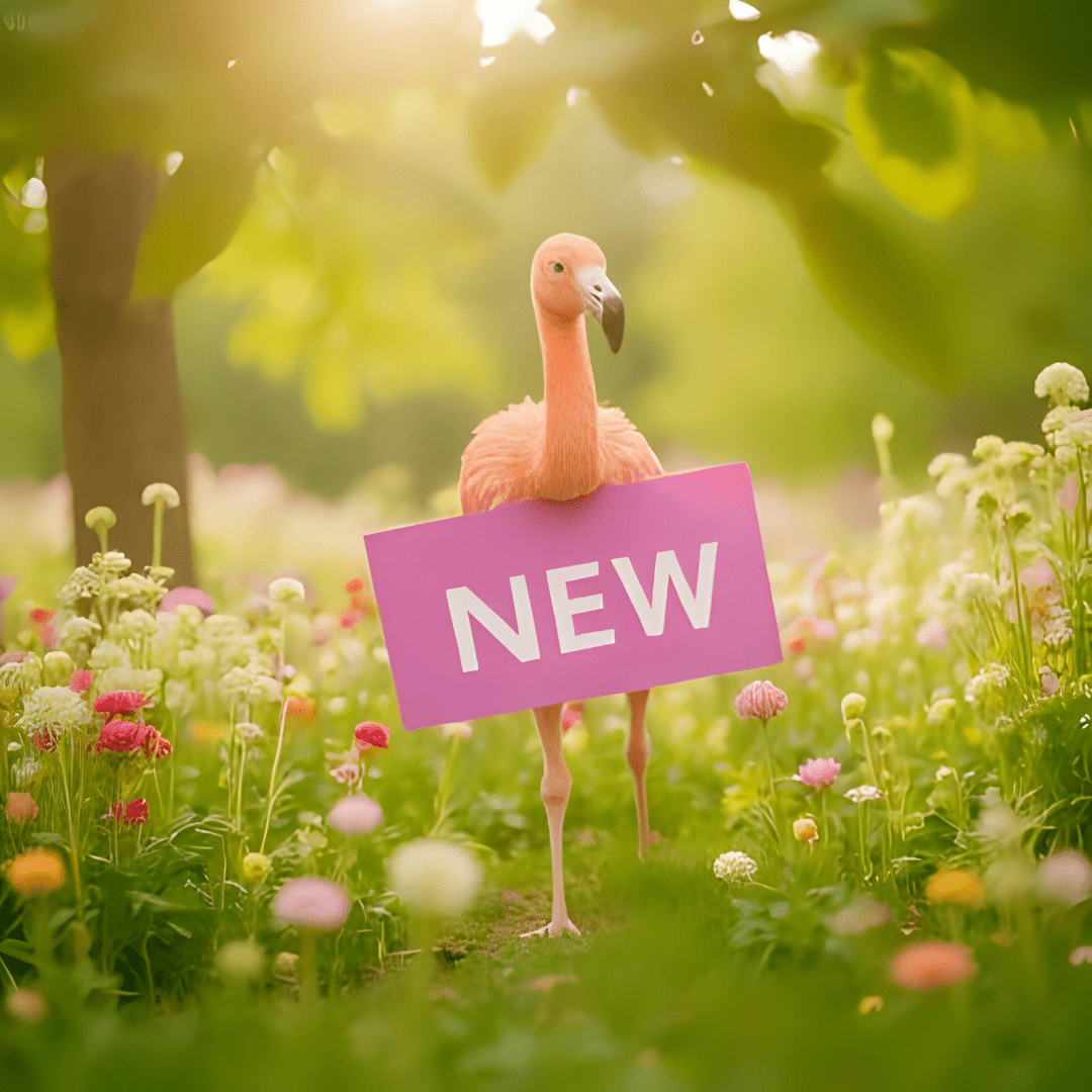 New Arrivals