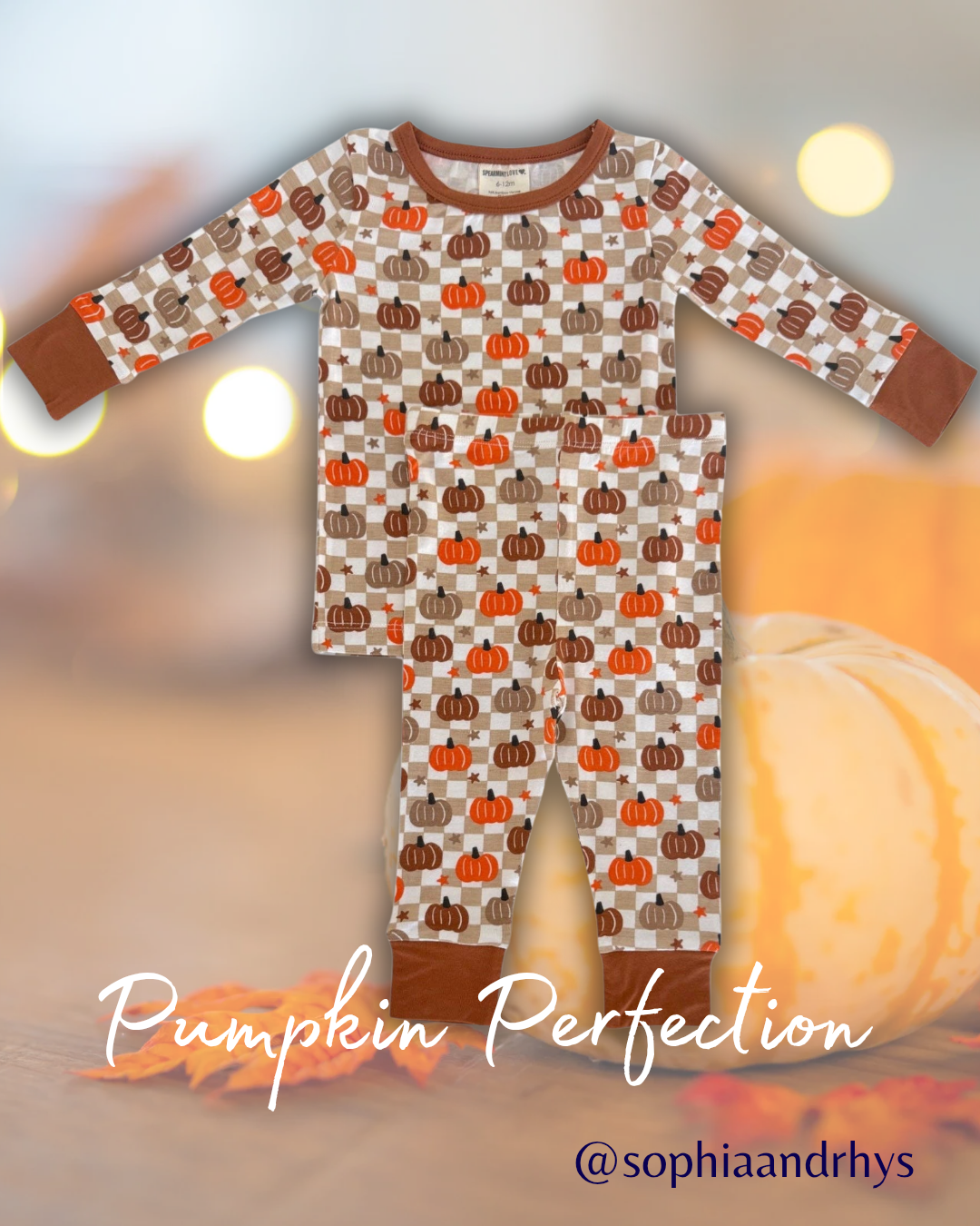 Brown_Pumpkin_Toddler_20260926_154610_0000.png
